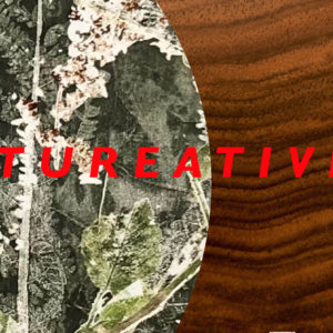 EXPOSITIE 'NATUREATIVITY'